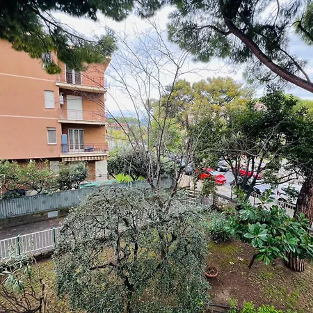 Serena 20 -