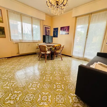 Serena 20 -